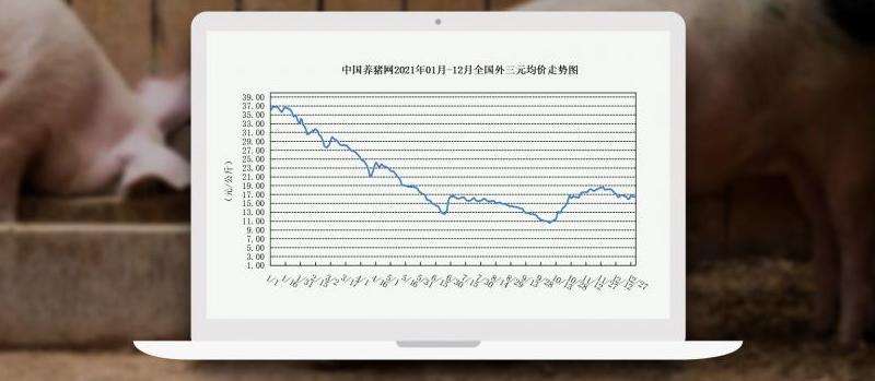 2021年INS粉丝数据回顾